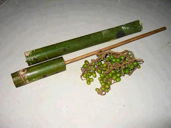 6. Senapan bambu