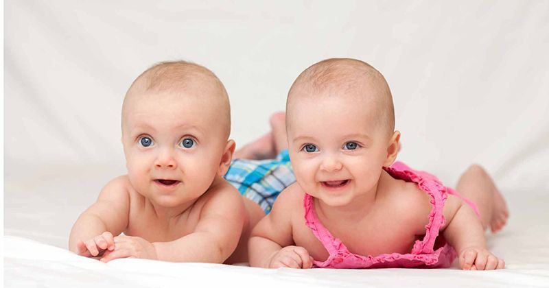 2. Persentase kelahiran bayi kembar identik kembar fraternal