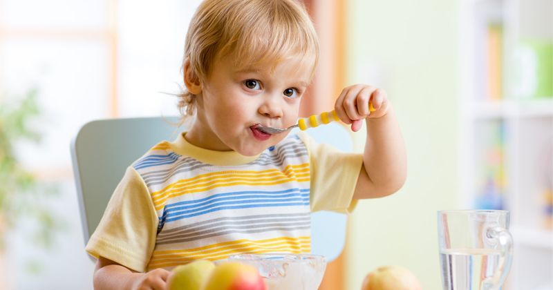 3. Biasakan anak mengonsumsi makanan bervariasi
