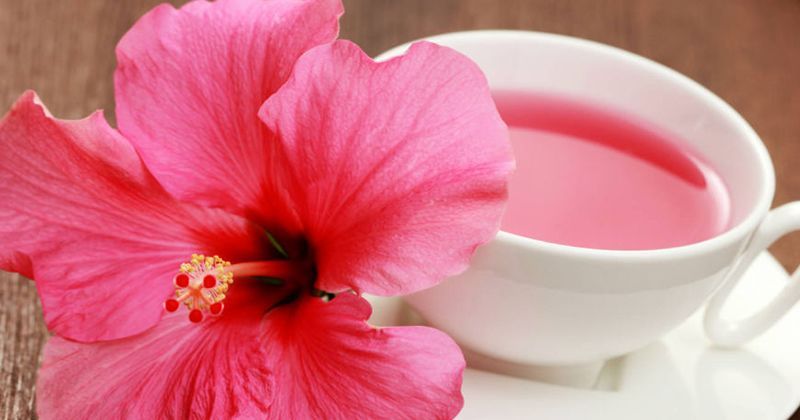 6. Bunga hibiscus (kembang sepatu)