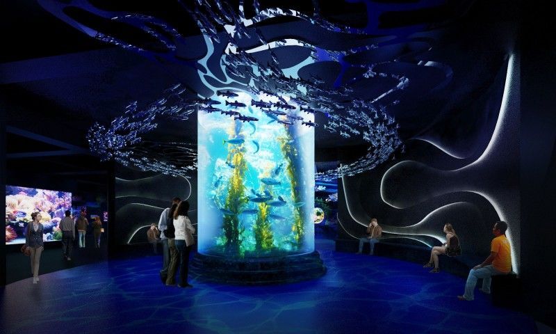 7. Berkunjung ke aquarium raksasa