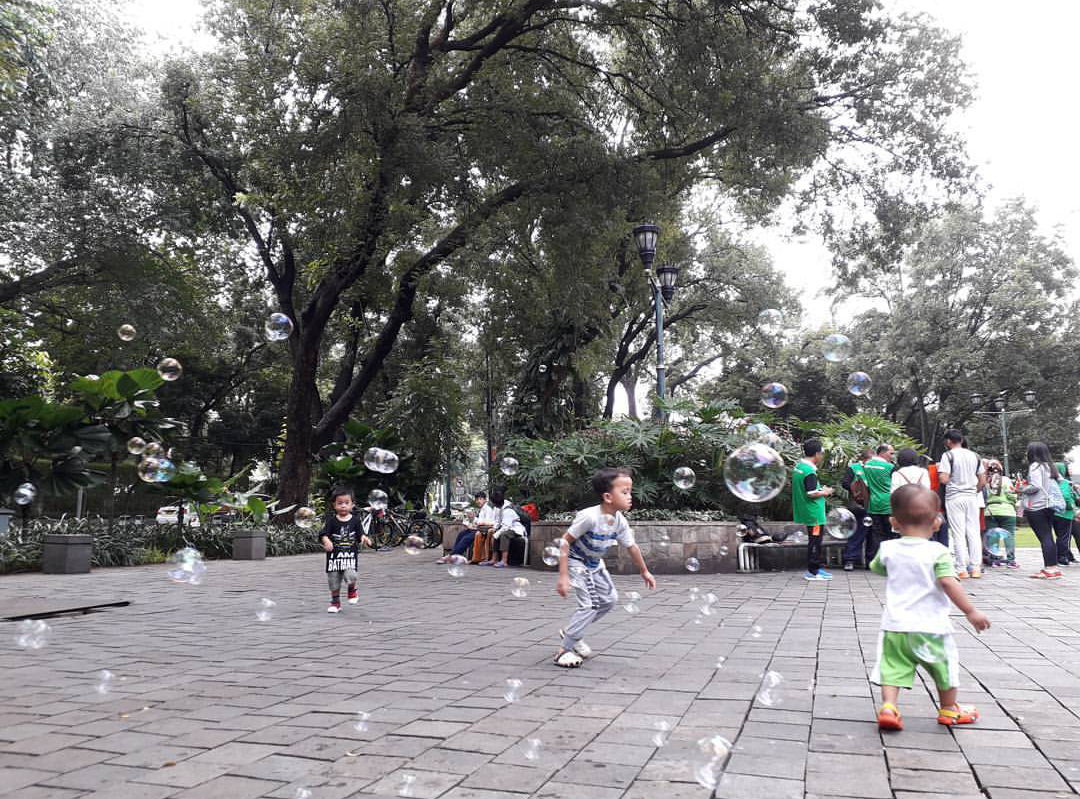 6. Taman Suropati Jakarta