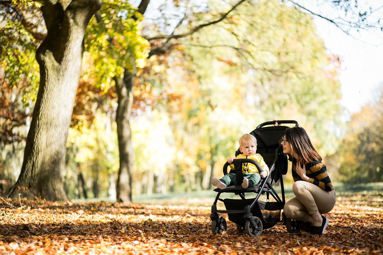 Perhatikan Tips Ini Sebelum Menyewa Perlengkapan Bayi Traveling