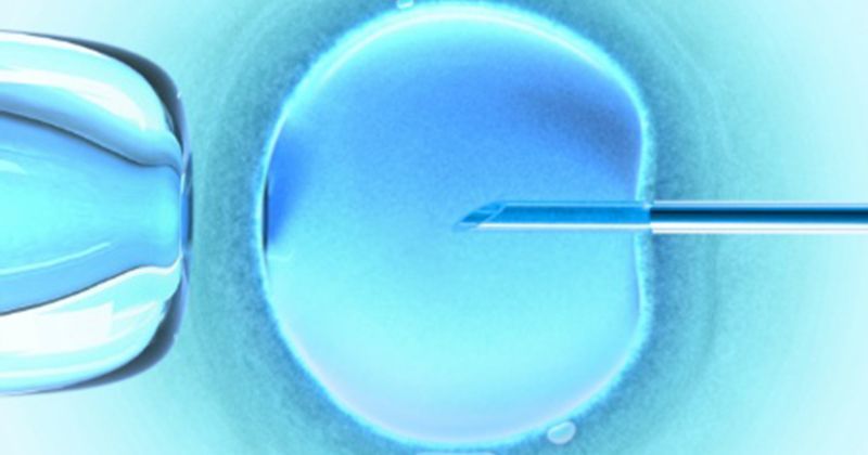 3. Apa kamu alami saat menjalankan proses In Vitro Fertilization (IVF)