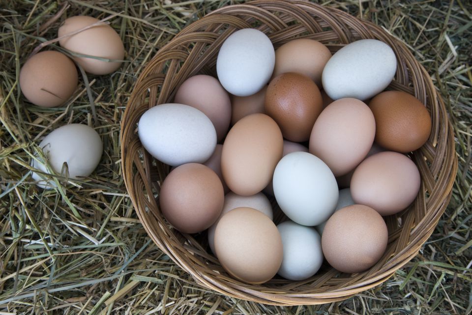 7. Telur bebek gulung