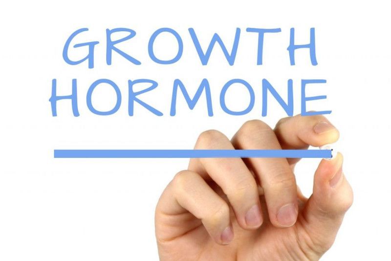 3. Hormon memengaruhi ovulasi