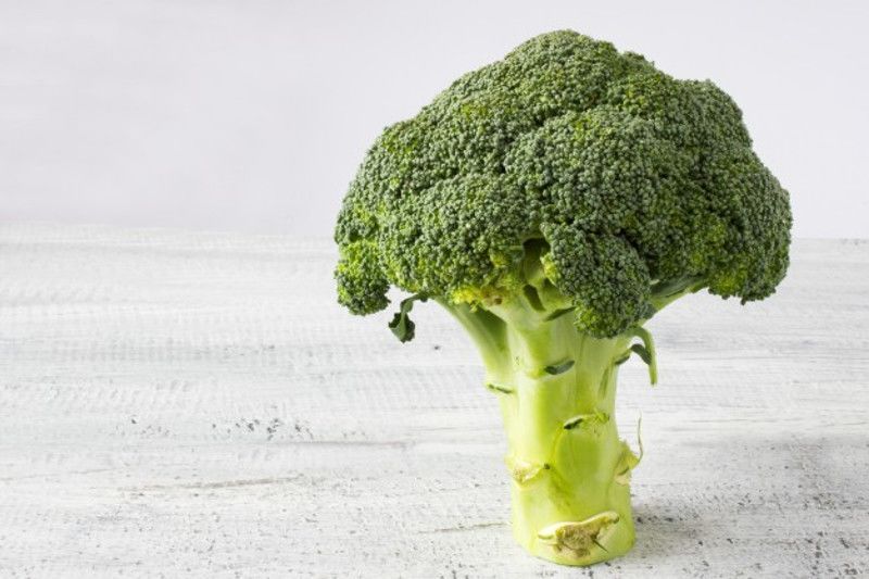 5. Brokoli mengandung vitamin A