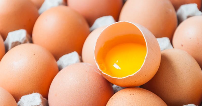 Tanggapan ahli video viral tentang telur palsu itu salah