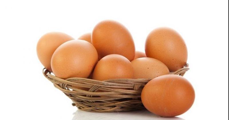 2. Ciri telur baik