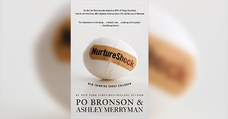 2. NurtureShock New Thinking About Children by Po Bronson and Ashley Merryman