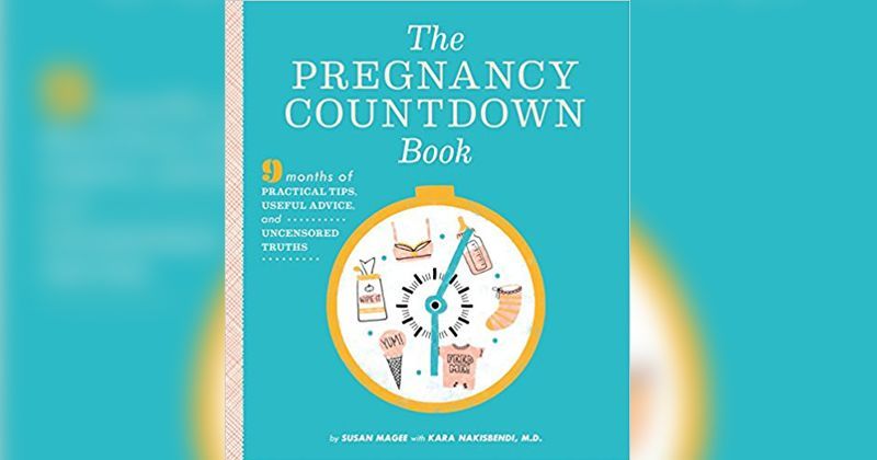 3. The Pregnancy Countdown Book Nine Months of Practical Tips, Useful Advice, and Uncensored Truths