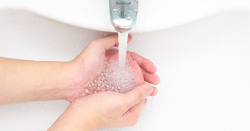5. Segera mencuci tangan setelah bersentuhan hewan peliharaan 