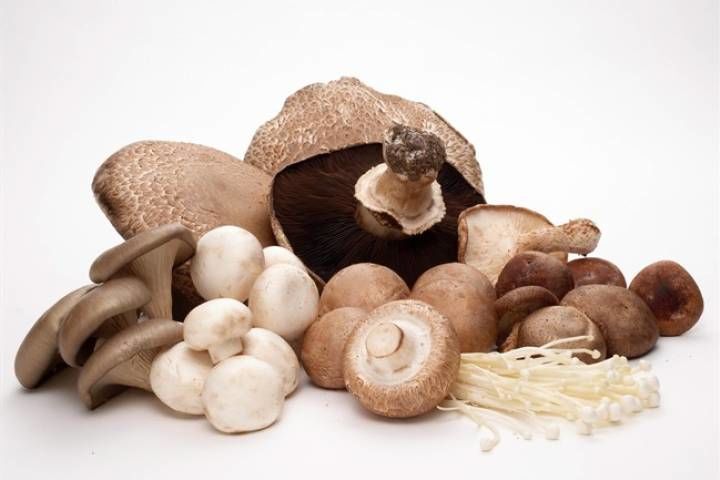 8. Vitamin D dari jamur dapat menghidrasi kulit