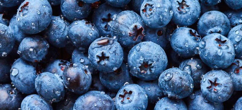 4. Antioksidan dalam blueberry