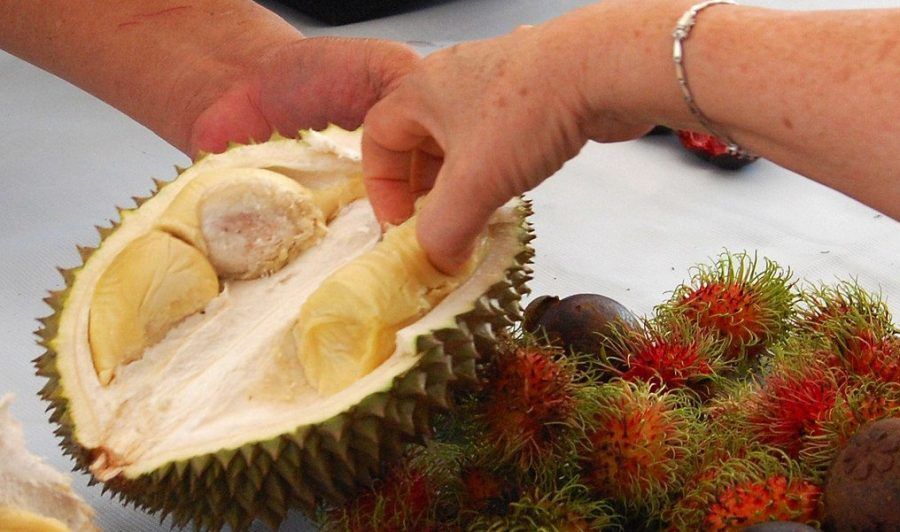 Tips Mengonsumsi Durian Saat Hamil Muda
