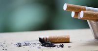 Ini Bahaya jika Calon Mama Terlalu Banyak Terpapar Asap Rokok