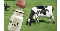 7. Sebagai pengganti susu sapi tepat