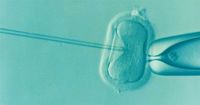 1. Apa itu In Vitro Fertilisation (IVF)