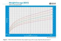Tabel Perkembangan Berat Badan Bayi Laki-Laki