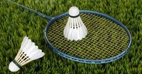 3. Badminton