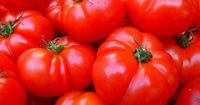 3. Tomat mampu menyeimbangkan natrium-kalium