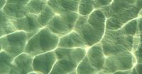 5. Jangan berenang saat cuaca panas