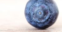 Apakah Blueberry Menawarkan Manfaat bagi Kesehatan Janin