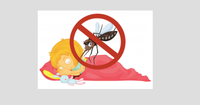 Kenali Skeeter Syndrome Membuat Anak Alergi Nyamuk