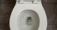 4. Siram bersihkan toilet sebelum menggunakan