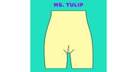 5. Ms. Tulip