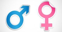Pengertian Gender Disforia Gender