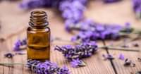 4. Gunakan bunga atau minyak lavender membasmi tungau