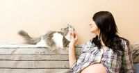 Persiapkan Kucing Peliharaan Menerima Bayi Mama Baru Lahir