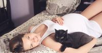1. Mengapa kucing kehamilan sering dibicarakan