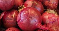 9. Bawang merah dijadikan obat oleh tabib Mesir kuno