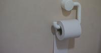 3. Toilet training