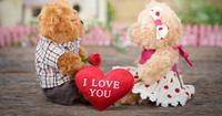 3. Teddy Bear