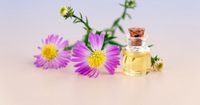 Ingin Beli Parfum Wangi Alami Coba 5 Jenis Aroma Natural