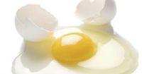 5. Kuning Telur Ayam