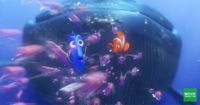 1. Finding Nemo