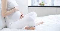 2. Trimester kedua