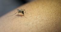 5 Bahan Alami Sebagai Pengganti Losion Nyamuk Anak