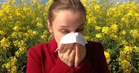 3. Antihistamin alergi