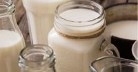 1. Susu produk olahan susu lainnya