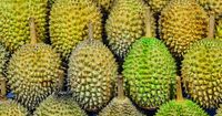 Fakta Tentang Buah Durian