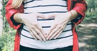 4. Organ perut menyesuaikan rahim