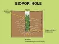Manfaat Lubang Biopori