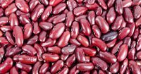 7 Manfaat Kacang Merah Ibu Hamil