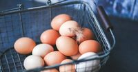 5 Cara Menyimpan Telur Tepat