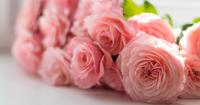 4. Pink akan membuat si Kecil jadi anak ceria